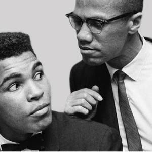 Meet your Posher, Bill